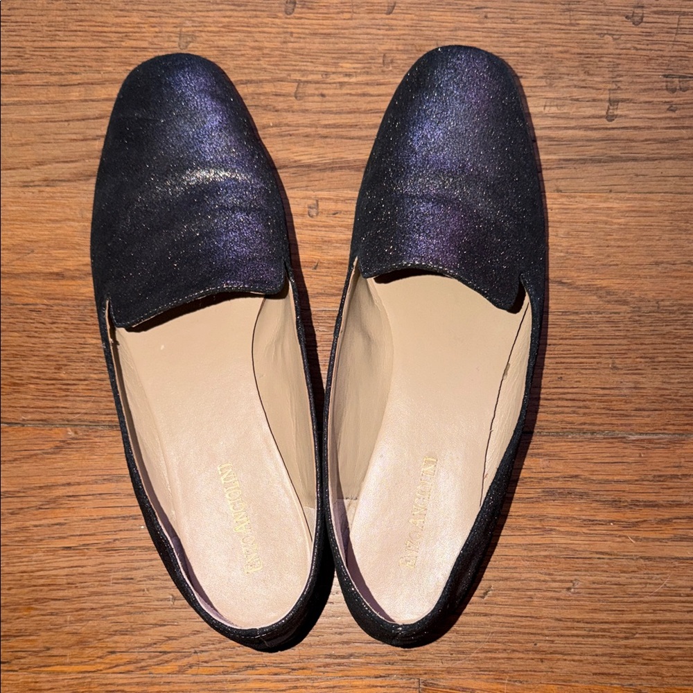 Enzo Angiolini Black and Purple Loafers